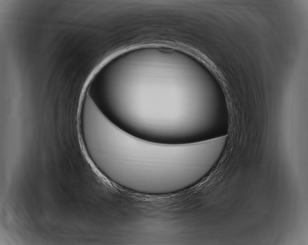 X0000086801536200704130849