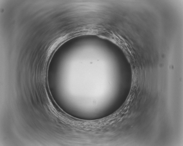 X0000086800003200704131317