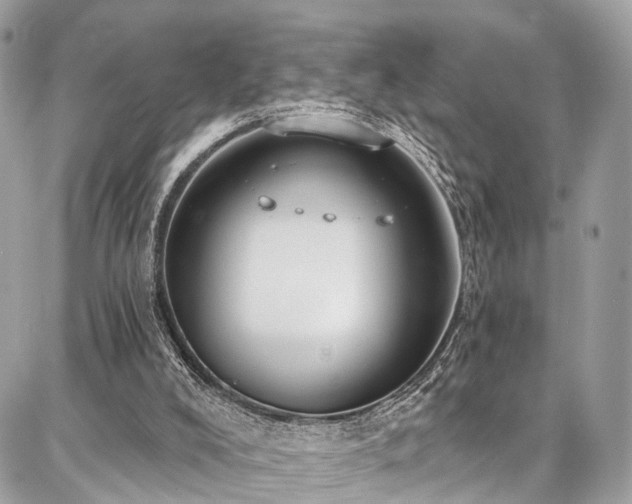 X0000086800008200704131317