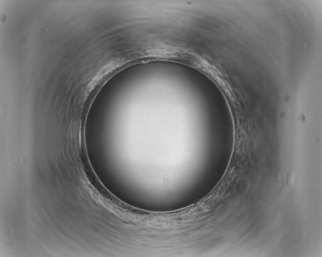 X0000086800011200704131317