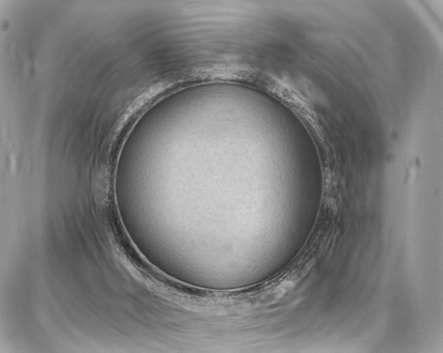 X0000086800012200704131317