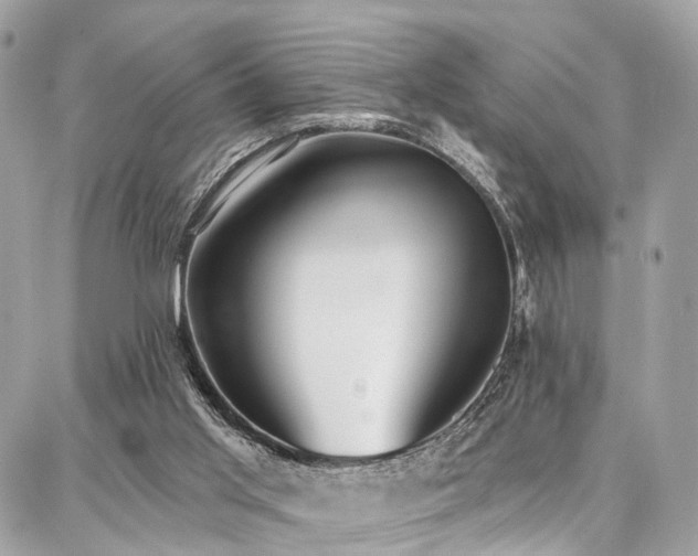 X0000086800013200704131317
