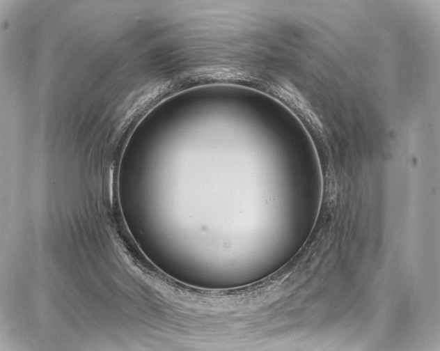 X0000086800014200704131317