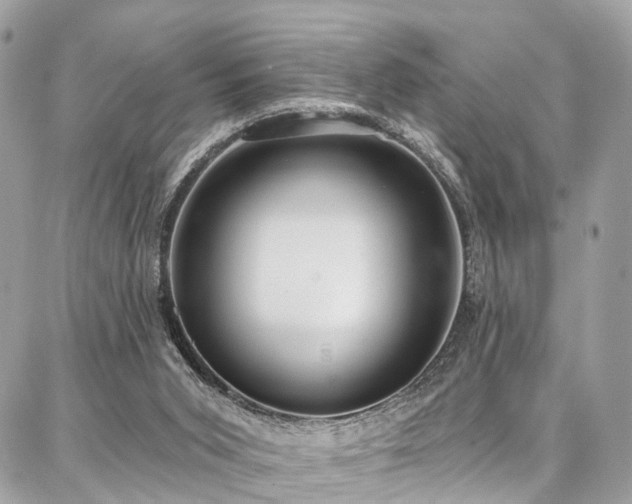 X0000086800015200704131317