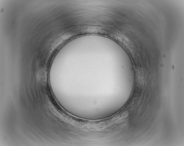 X0000086800016200704131317