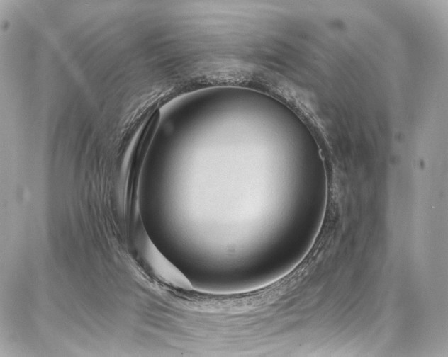 X0000086800017200704131317