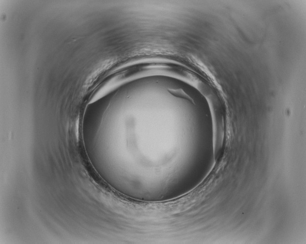 X0000086800019200704131317