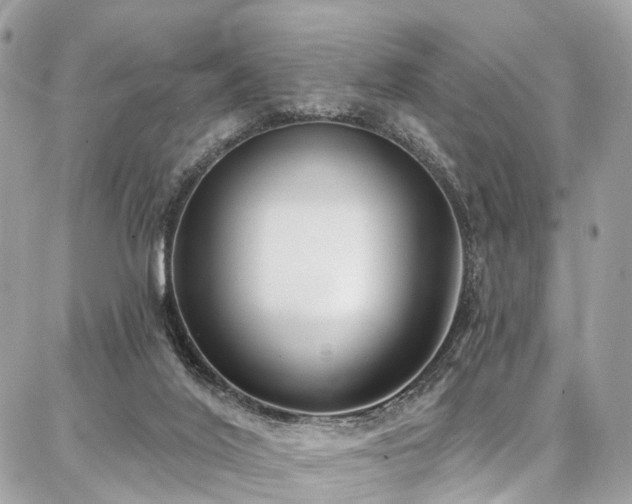 X0000086800020200704131317