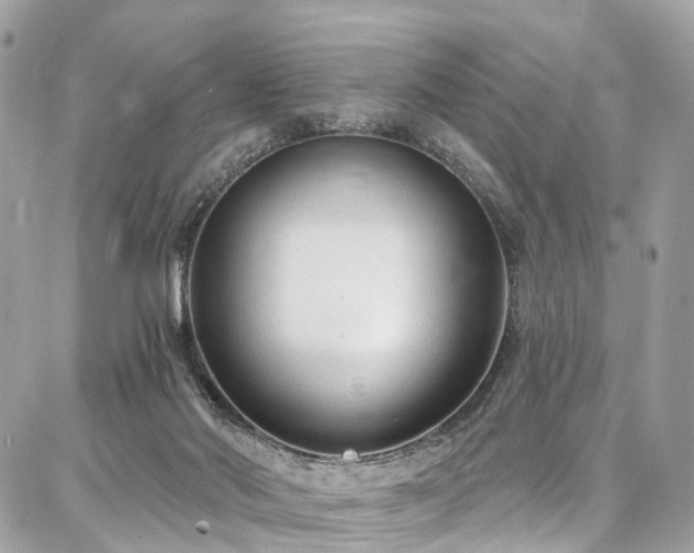 X0000086800022200704131317