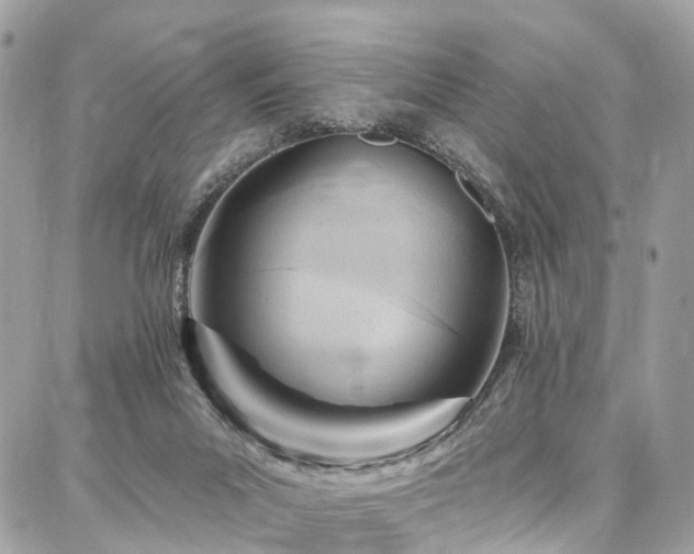 X0000086800023200704131317