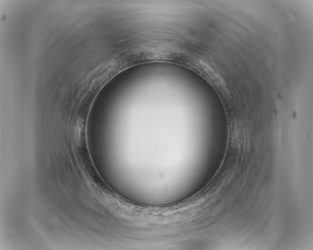 X0000086800026200704131317