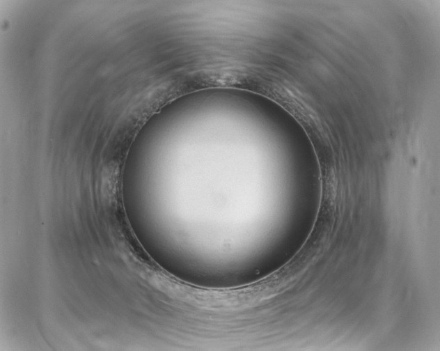 X0000086800030200704131317