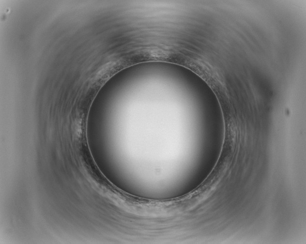 X0000086800032200704131317