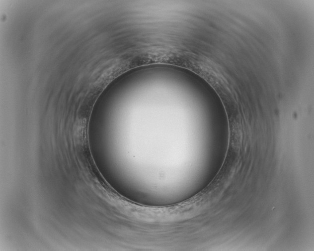 X0000086800034200704131317