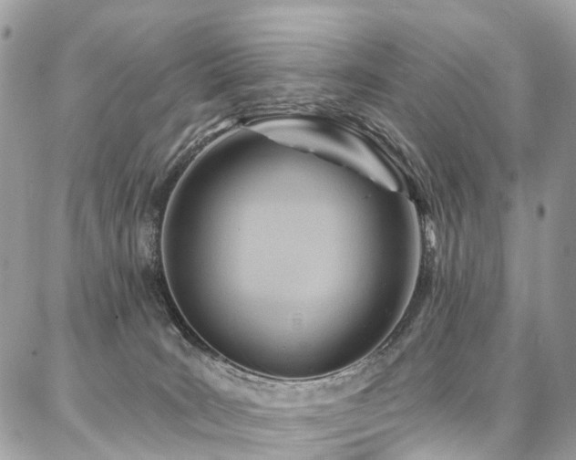X0000086800035200704131317