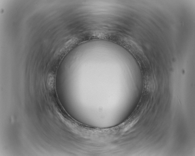 X0000086800036200704131317