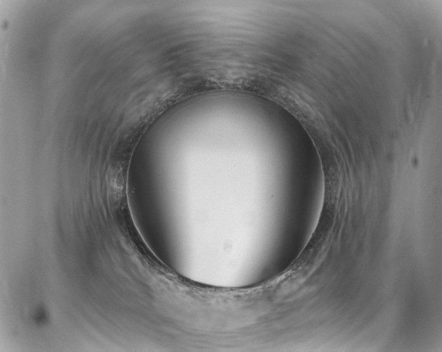 X0000086800040200704131317