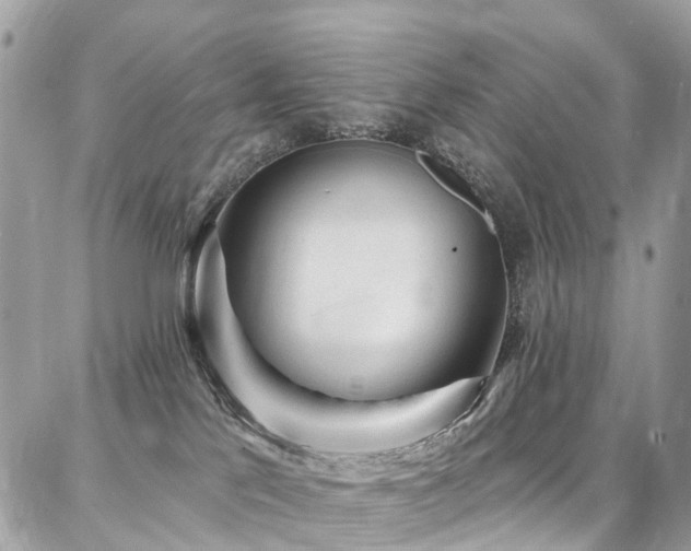 X0000086800041200704131317