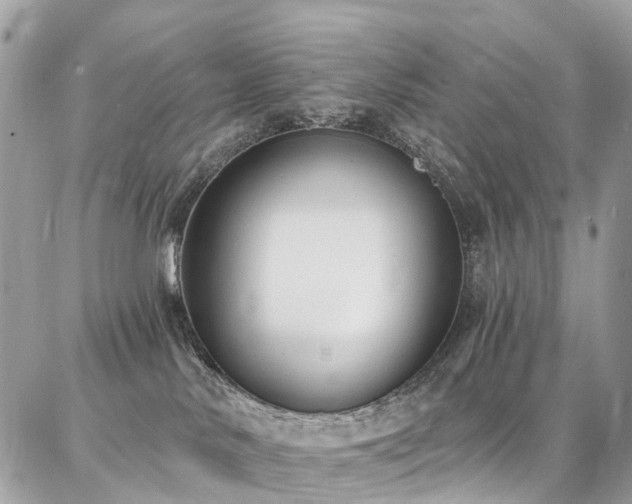 X0000086800042200704131317