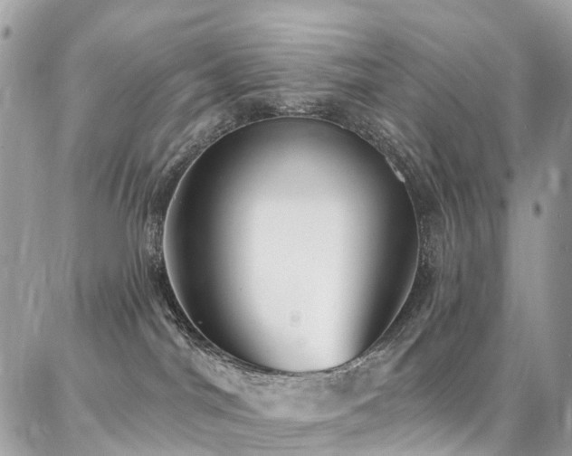 X0000086800044200704131317