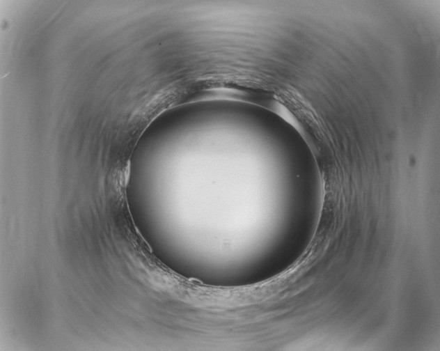 X0000086800045200704131317