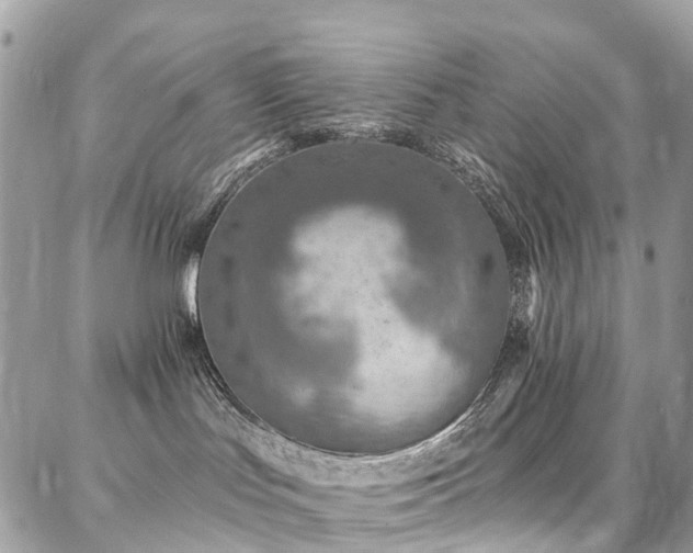 X0000086800047200704131317