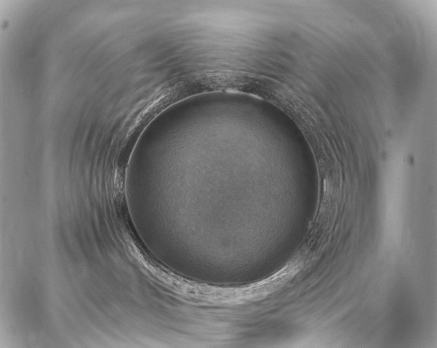 X0000086800048200704131317