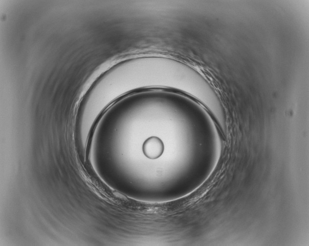 X0000086800056200704131316