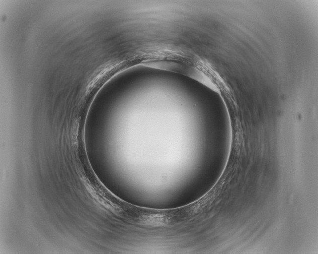 X0000086800058200704131316