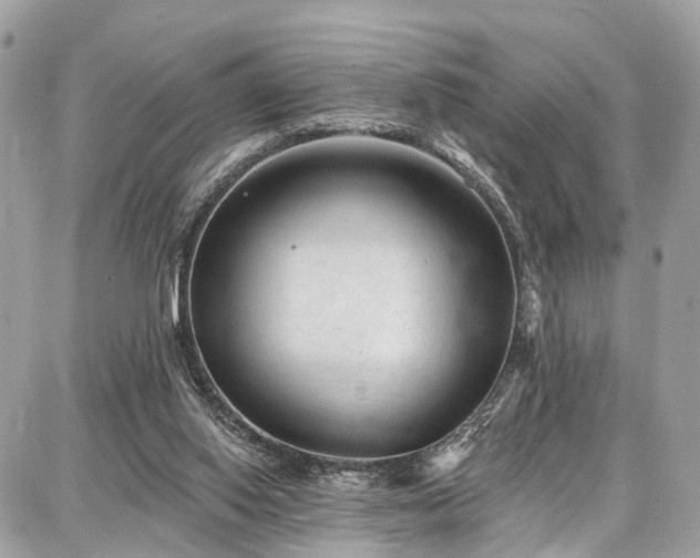 X0000086800062200704131316