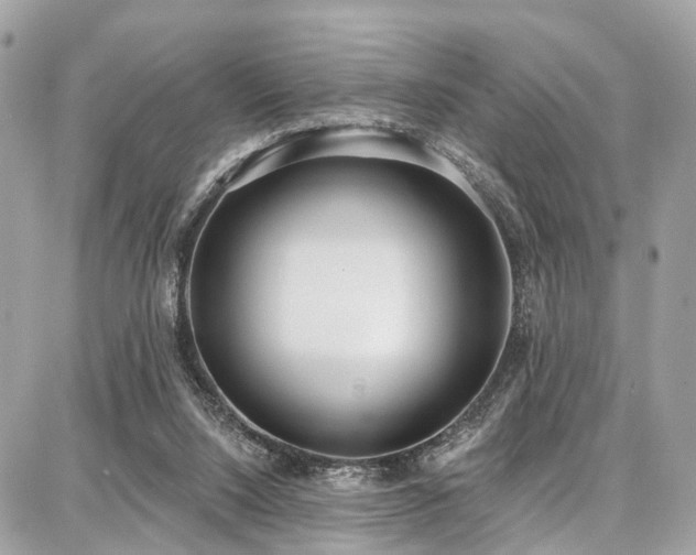 X0000086800064200704131316
