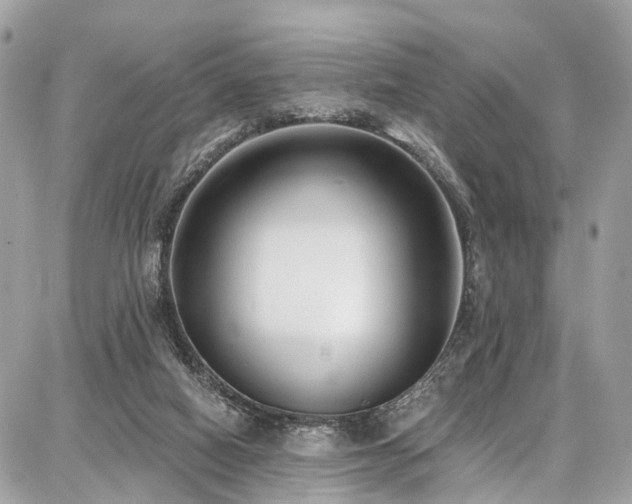 X0000086800066200704131316