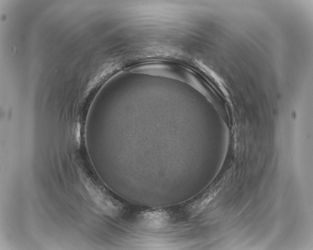 X0000086800067200704131316
