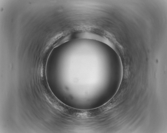 X0000086800068200704131316