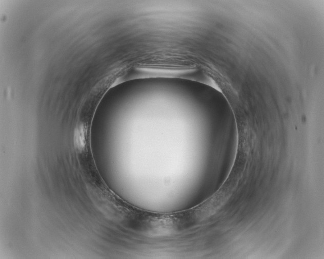 X0000086800075200704131316