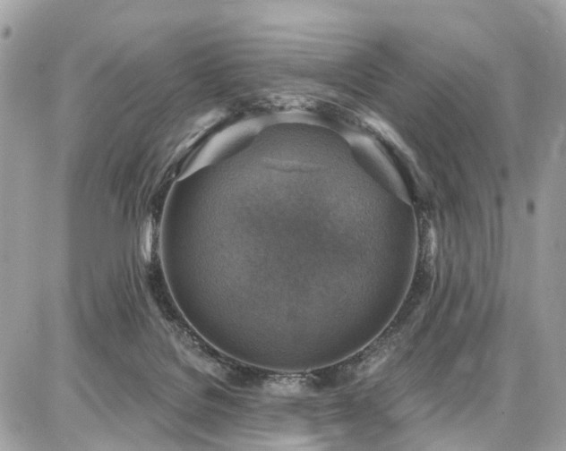 X0000086800076200704131316