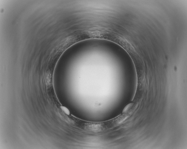X0000086800081200704131316
