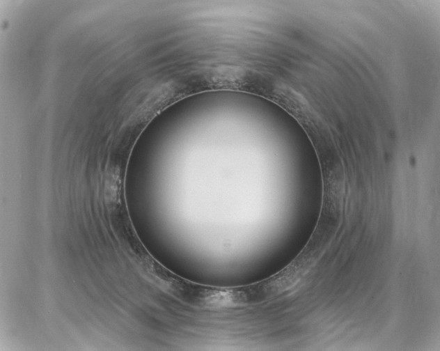 X0000086800083200704131316