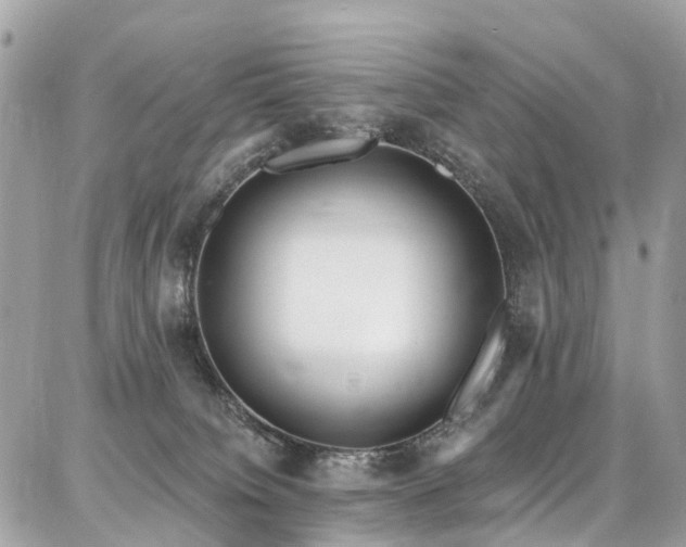 X0000086800084200704131316