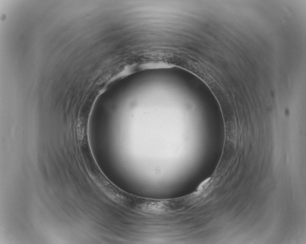 X0000086800086200704131317