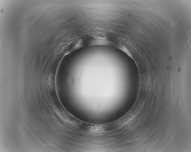 X0000086800088200704131317