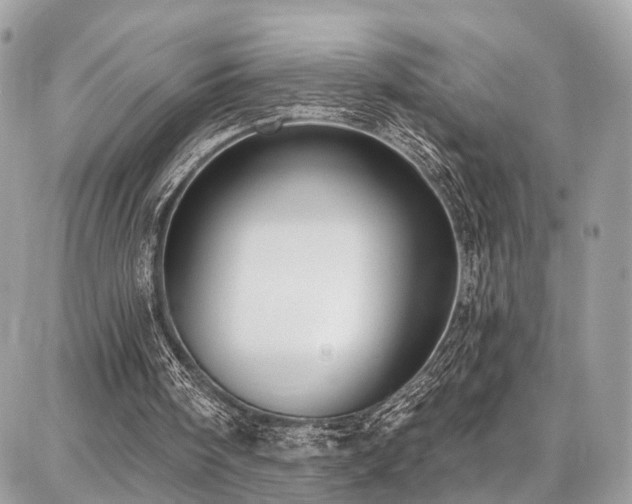 X0000086800098200704131316