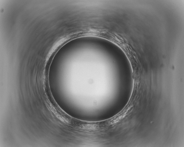 X0000086800102200704131316