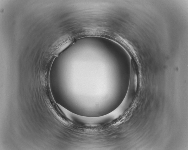 X0000086800105200704131316