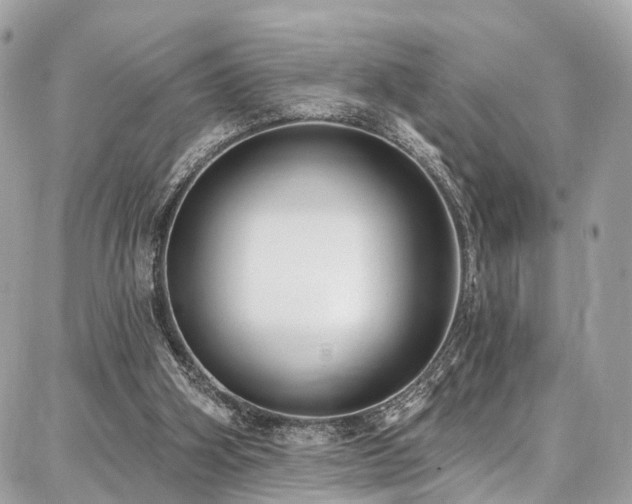 X0000086800106200704131316
