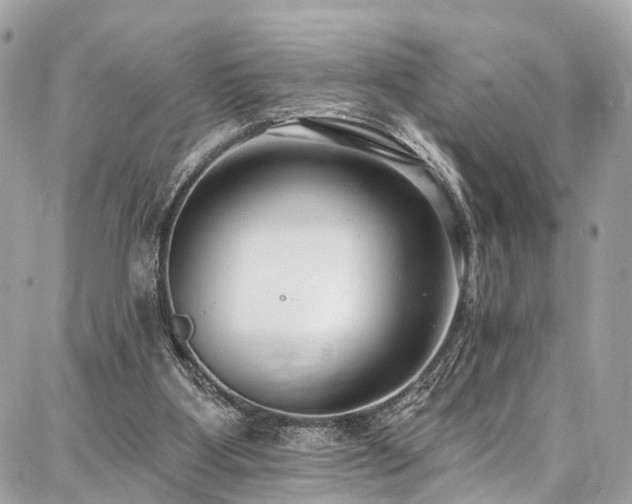 X0000086800107200704131316