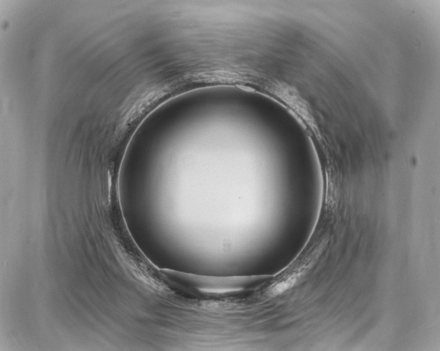 X0000086800109200704131316