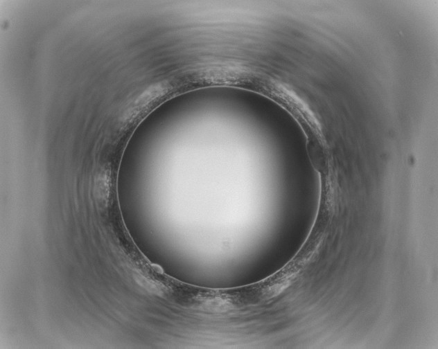 X0000086800113200704131316