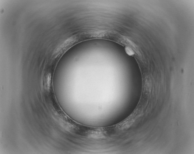 X0000086800118200704131316