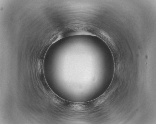 X0000086800121200704131315